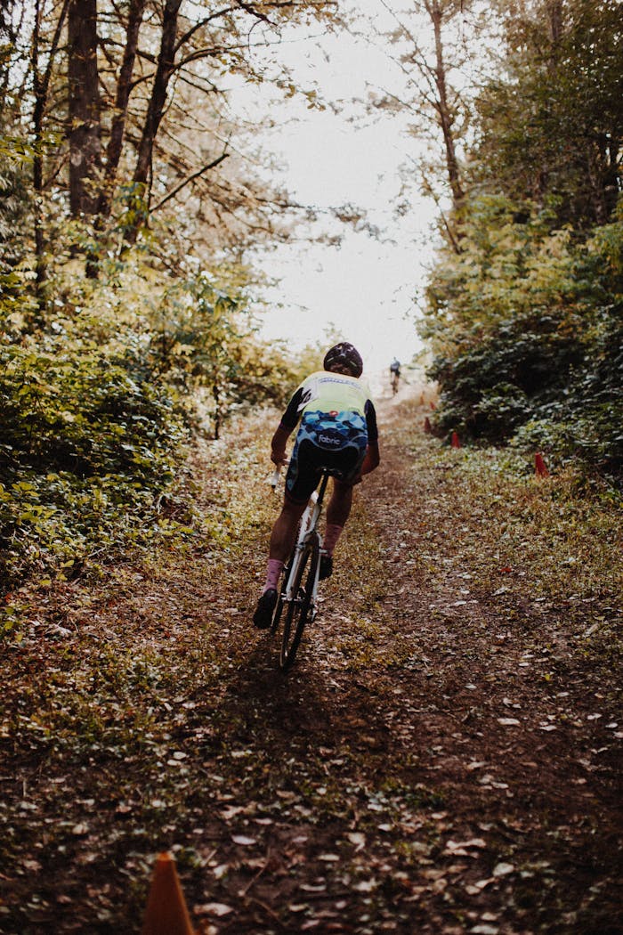 Cyclist mountain biking through a lush forest trail during daytime