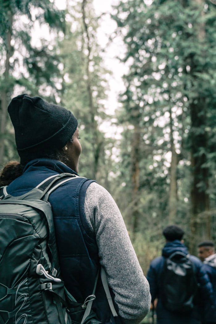A group of hikers enjoying a scenic forest trail, wearing outdoor gear and backpacks.